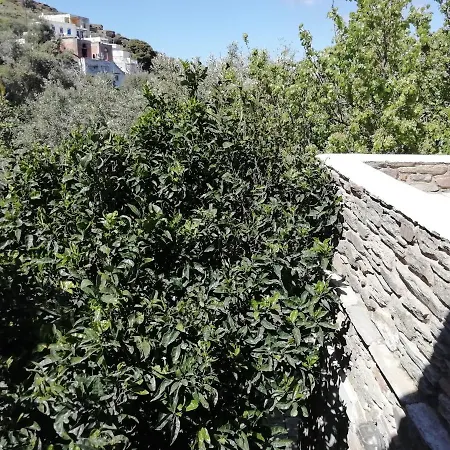 Greenhouse At Tinos Ferienhaus Smardakito