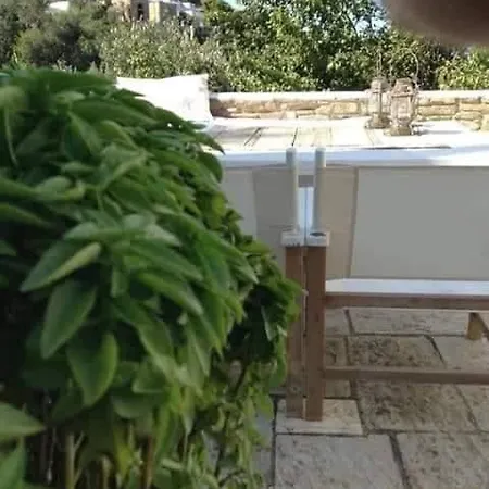 Greenhouse At Tinos *